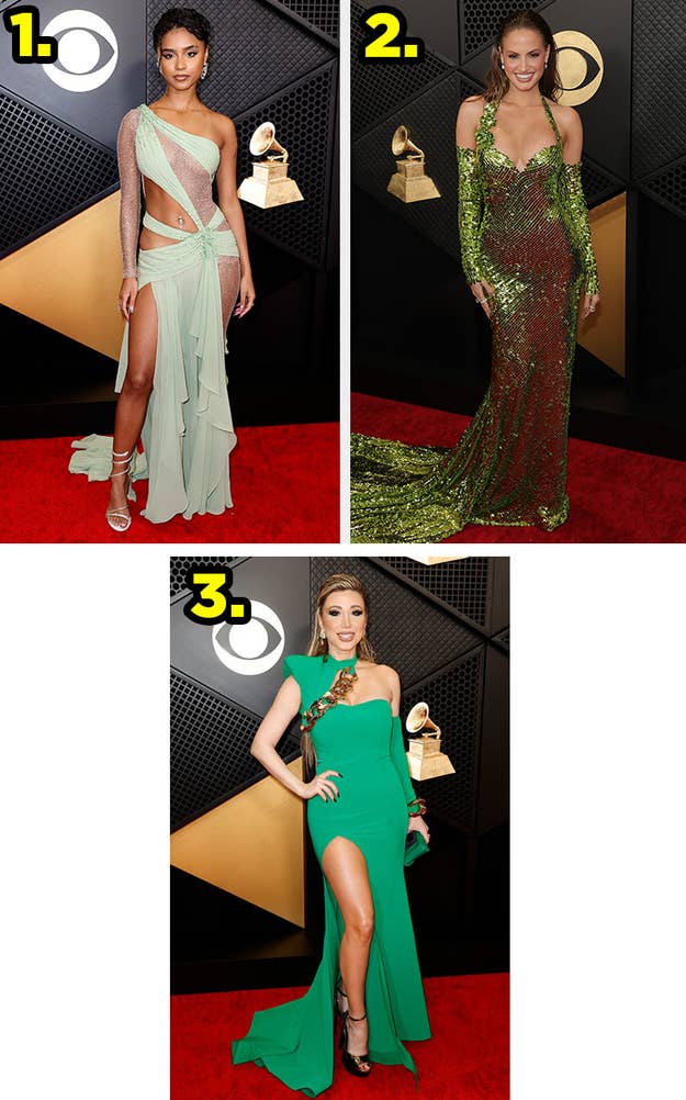 2024 Grammy Awards Red Carpet Looks Poll