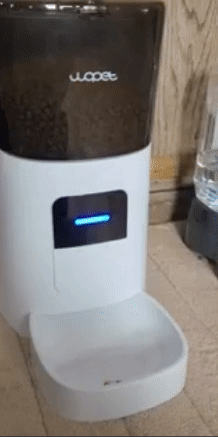 gif of reviewers smart feeder dispensing food into ffood bowl