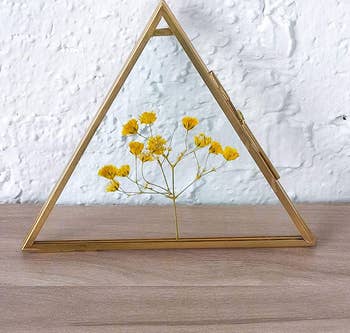 small sprig of flowers inside glass paneled frame in triangle frame 
