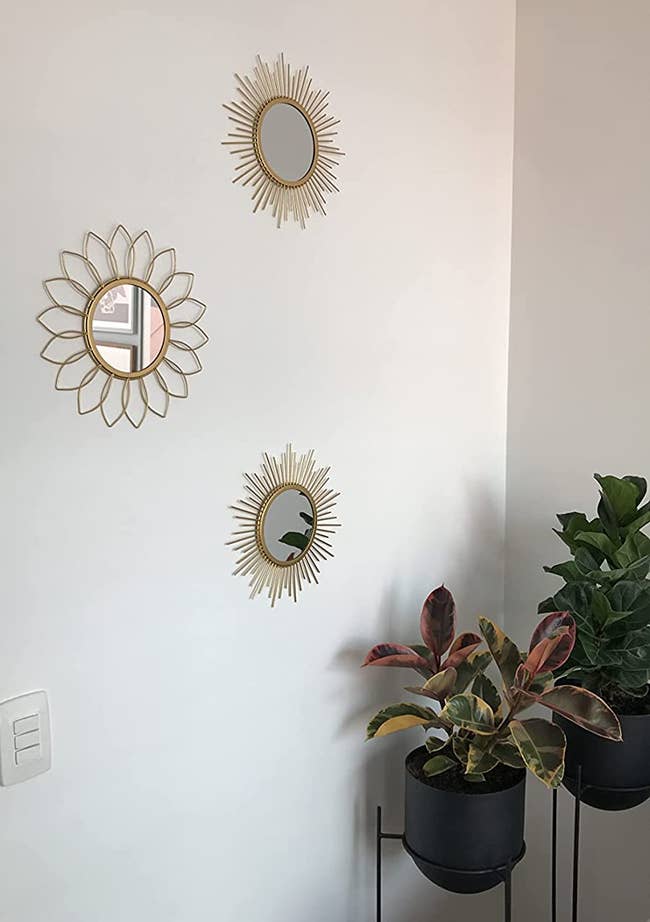 a reviewer shows the three mirrors on a wall beside plants