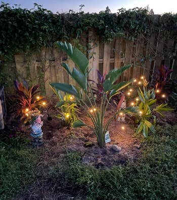 another reviewer's lights in the garden
