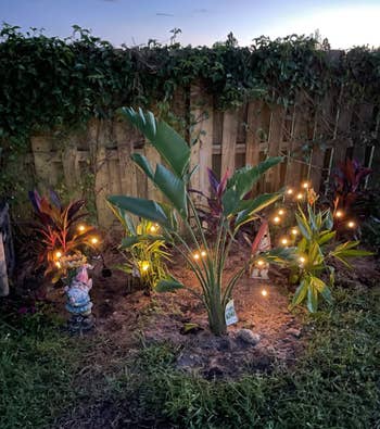 another reviewer's lights in the garden