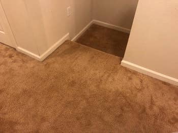 the carpet clean