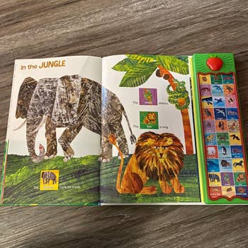 reviewer photo of the book flipped open to a page with illustrations of jungle animals