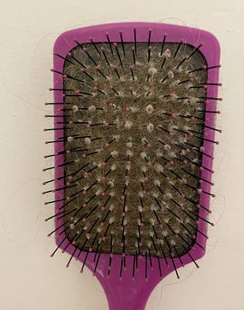 reviewer before of a hairbrush filled with lint