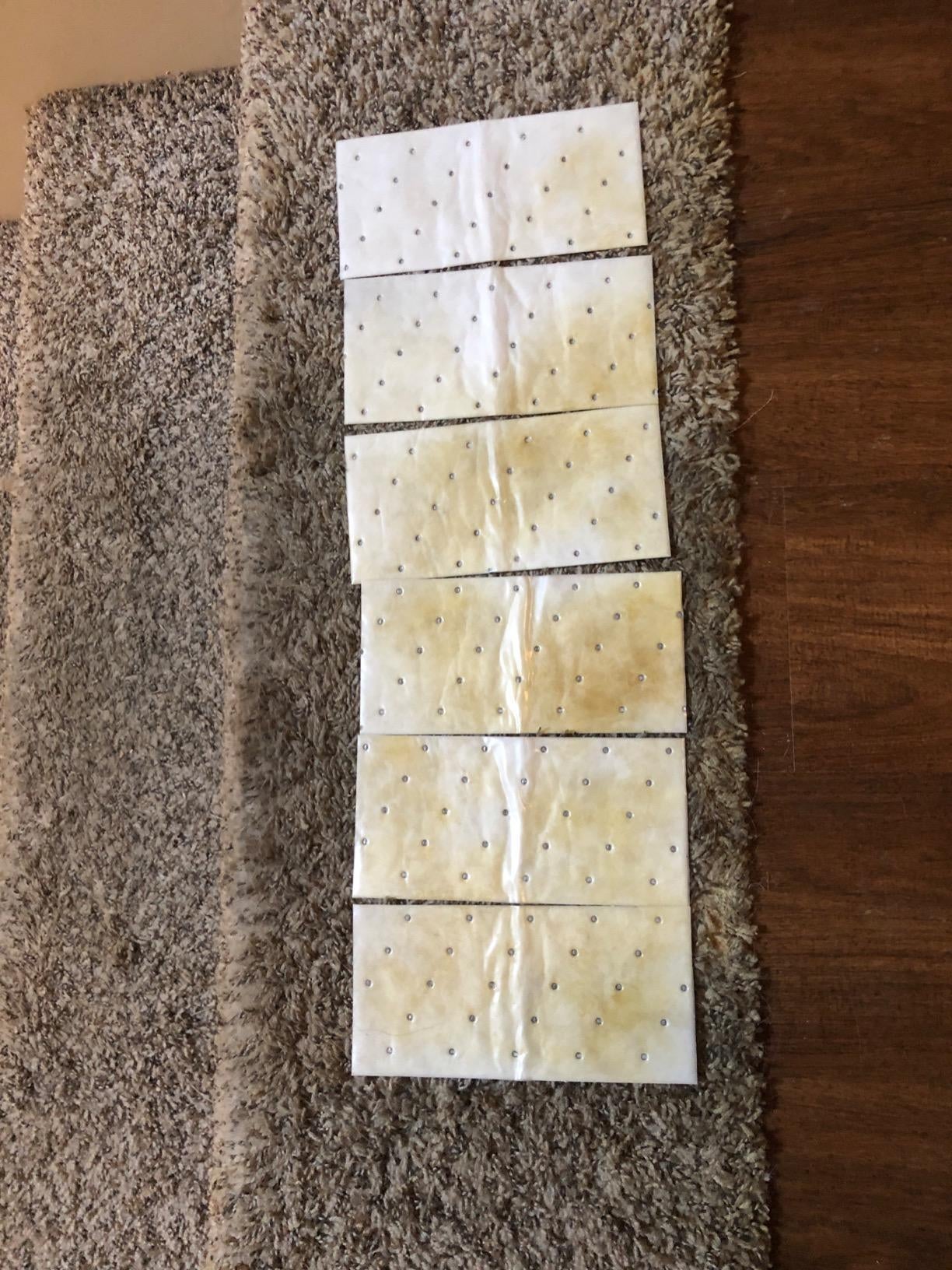 the pads soaking up urine stains left on gray carpet 