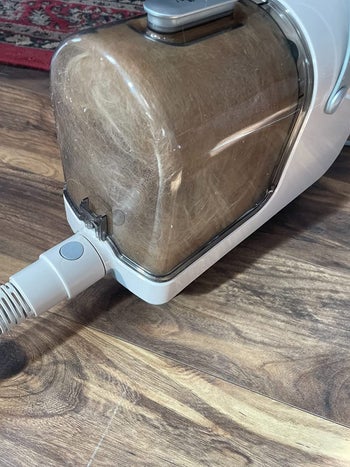 reviewer photo of all the hair in the canister that the vacuum took off a dog