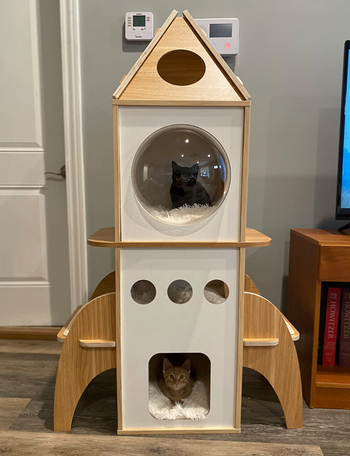 Reviewer pic of the cat tower with two cats