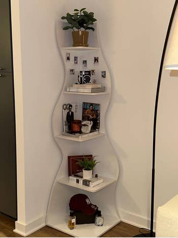 Stylish country   support  with plants, books, photos, a shot   cap, and tiny  decor, perfect  for enhancing modern  surviving  spaces