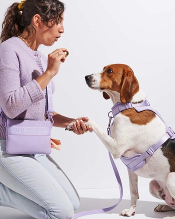 Model handing a treat to dog with product on and matching harness