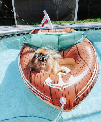 Pomeranian sitting in the front of the green and brown boat shaped float