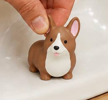41 Weird Things To Create Your Own Oddity Museum