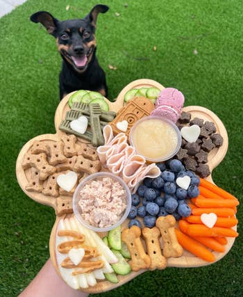 reviewer holding paw tray full of treats with their dog in the background smiling