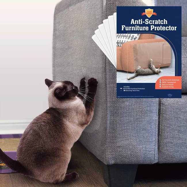 Cat examining an anti-scratch furniture protector attached to a couch. Package highlights 2x scratch deterrent sheets