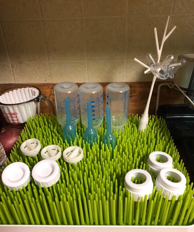 Bottles and pacifiers drying on the plastic grass rack and tree