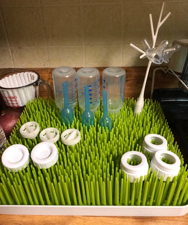 Bottles and pacifiers drying connected the integrative writer rack and tree