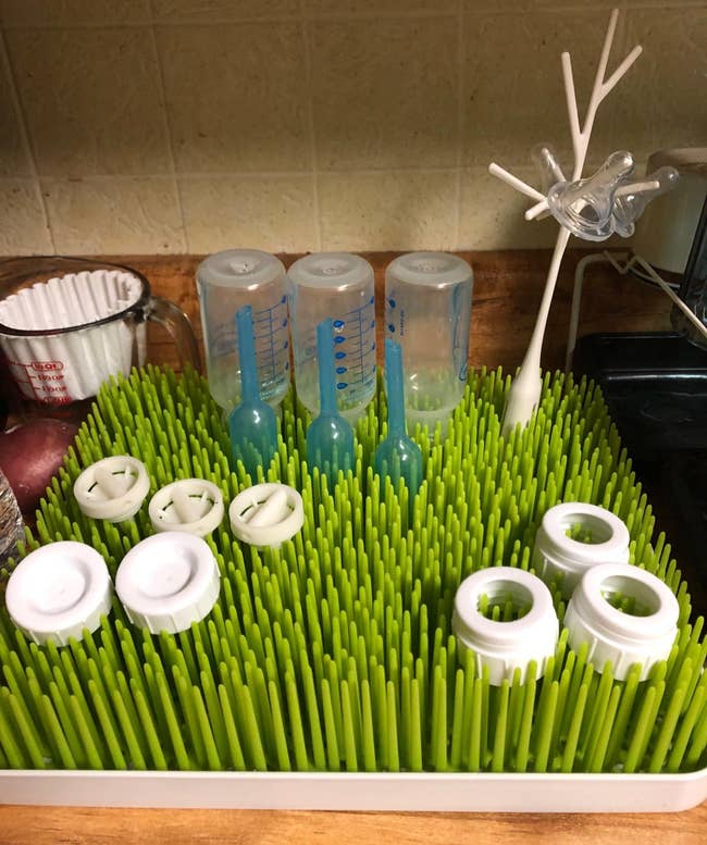 Bottles and pacifiers drying on the plastic grass rack and tree