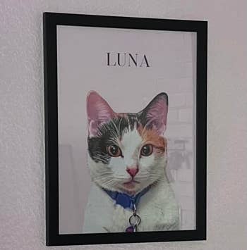 portrait of reviewers cat 