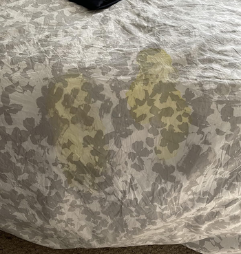 a reviewer photo of a stained comforter 