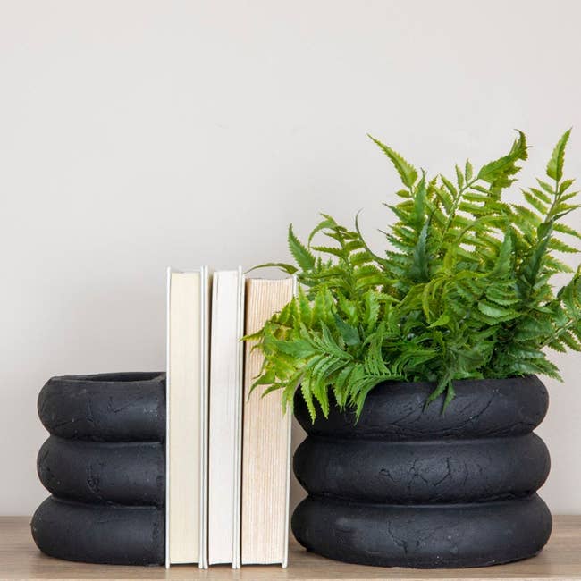 the black green bookend holding a dry plants