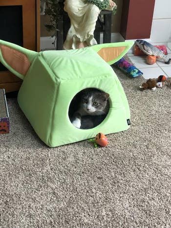 different reviewer's cat inside the yoda bed