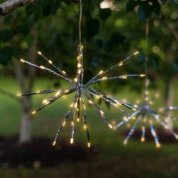 close up of the light hanging in a tree