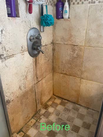 before photo showing how dirty a shower wall and tiles are
