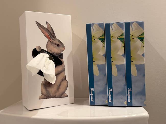 Tissue container  with a whimsical rabbit plan  adjacent  to 3  floral-themed insubstantial   boxes connected  a bath  surface