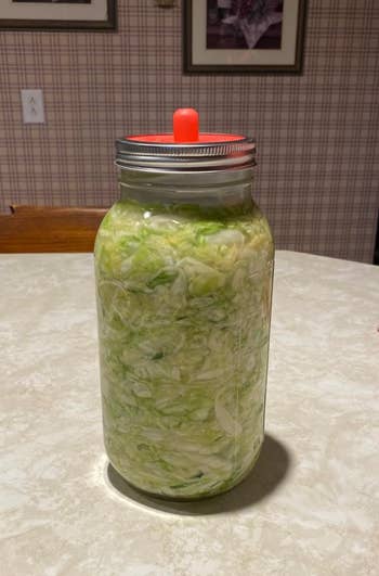 A jar of homemade sauerkraut with a peculiar lid, sitting connected a room table, suitable for fermentation enthusiasts oregon DIY shoppers
