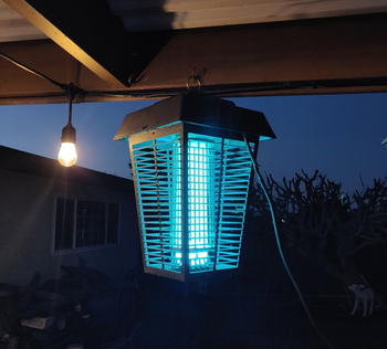reviewer image of the insect killer hanging on a porch