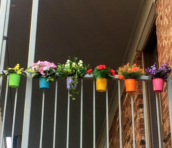 another reviewer's colorful pots filled with plants hanging on a balcony railing