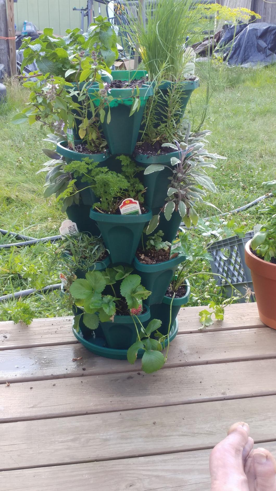 Tiered planter with assorted  herbs and plants connected  a woody  deck, cleanable   for a compact plot  setup