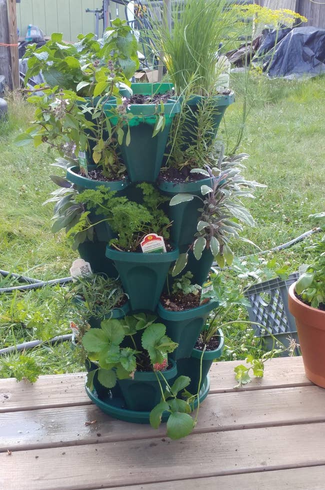 Tiered planter with assorted herbs and plants connected a woody deck, cleanable for a compact plot setup