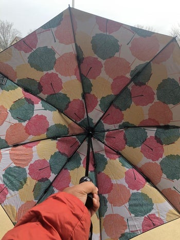 reviewer's umbrella open