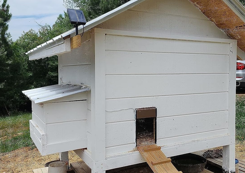 door opened on a reviewer's coop