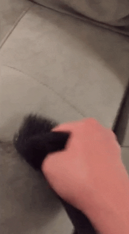 gif of the wedge being used to remove pet hair from a couch