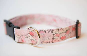 The collar with little pigs printed on it