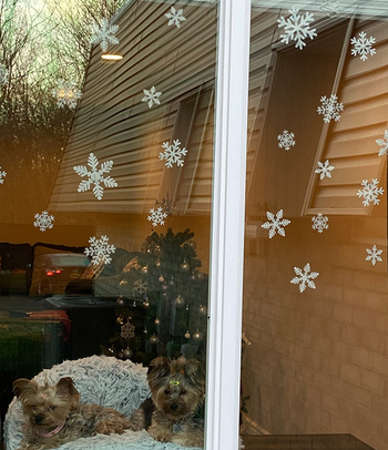 reviewer photo of the snowflake decals on a pair of windows with two dogs looking out of them