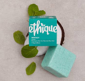 a teal shampoo bar next to its packaging and some mint leaves