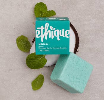 a teal shampoo bar next to its packaging and some mint leaves