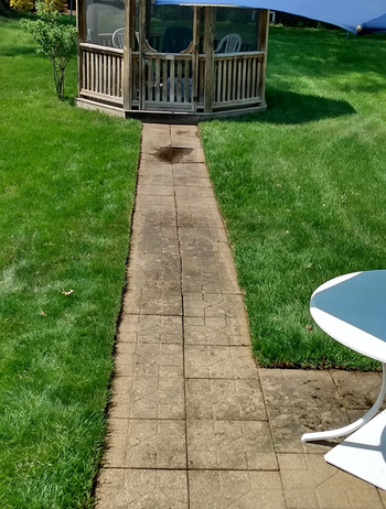 a stone pathway in a reviewer's yard looking dirty