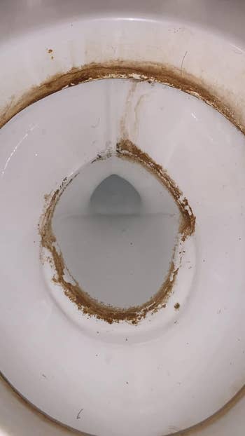 reviewer's toilet bowl with brown hard water stains 
