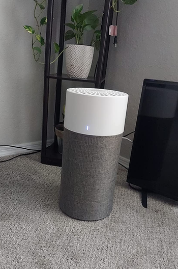 Reviewer image of white and gray air purifier in front of tv and plant stand 