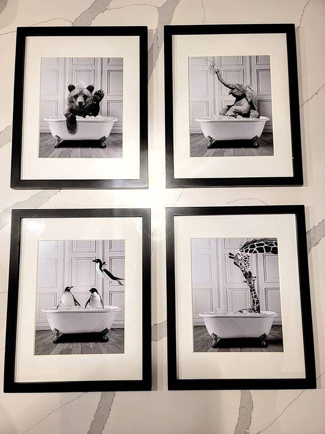 reviewer image of the four prints framed; one depicts penguins, another giraffes, another a bear, and another an elephant