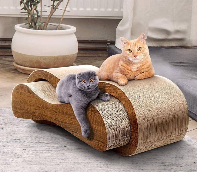the two-piece lounger with two cats laying on it 