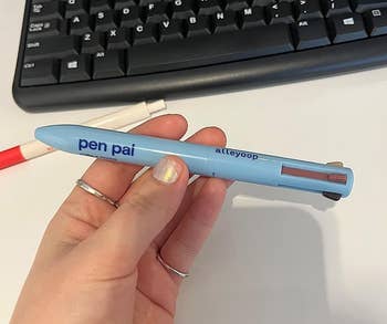 A reviewer holding the penpal
