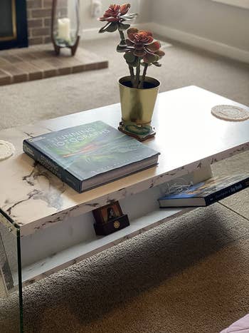 a reviewer's faux marble table holding books and a plant