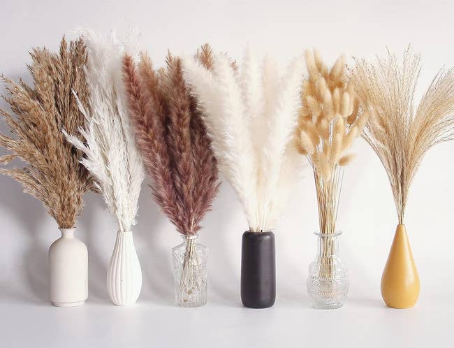 six vases filled with different colored and styled dried pampas grass