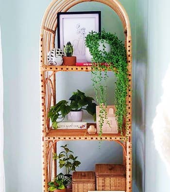 the rattan shelf with plants