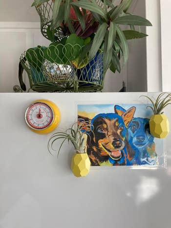 yellow timer on fridge 